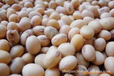 【廠家專業(yè)生產銷售高蛋白 高品質的黃大豆批發(fā)】價格,廠家,圖片,豆類作物,大豐市干春糧貿-