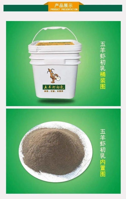冬棚放苗時,養(yǎng)殖高手直言 沒有它不放苗