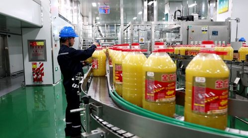 好油云南造 健康好味道 益海嘉里金龍魚工廠落戶七彩云南