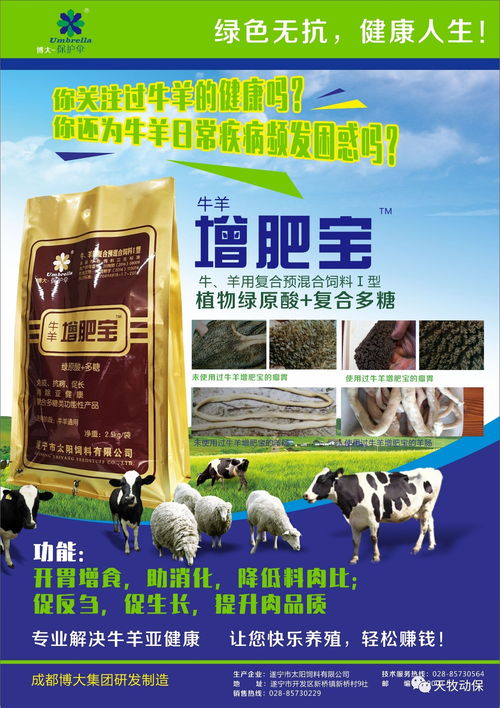 提供綠色無抗產(chǎn)品 促進(jìn)動(dòng)物健康生長(zhǎng) 保護(hù)人類食品安全