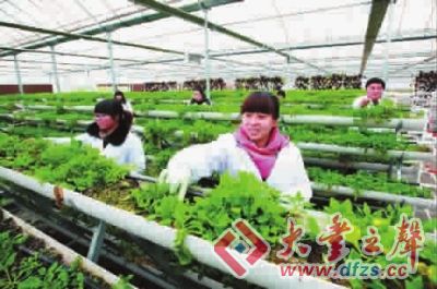 大豐海洋生物產(chǎn)業(yè)園成為國家級(jí)基地 時(shí)事